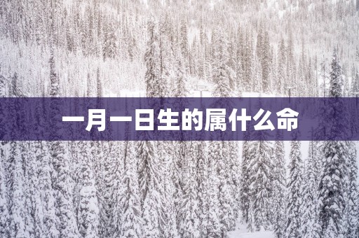 一月一日生的属什么命