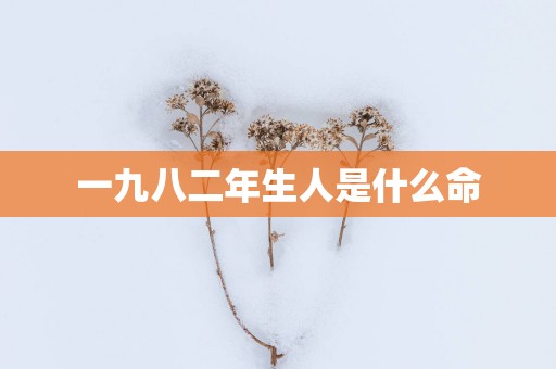 一九八二年生人是什么命
