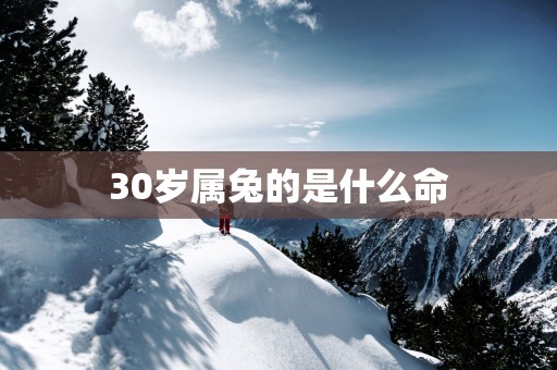 30岁属兔的是什么命