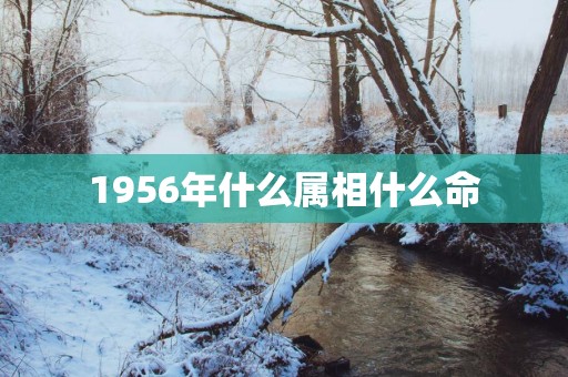 1956年什么属相什么命