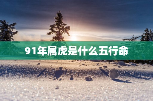 91年属虎是什么五行命