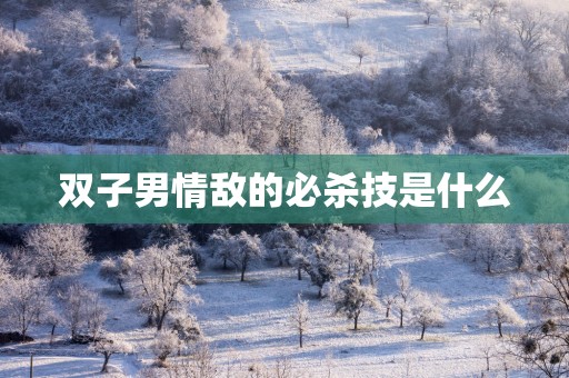 双子男情敌的必杀技是什么