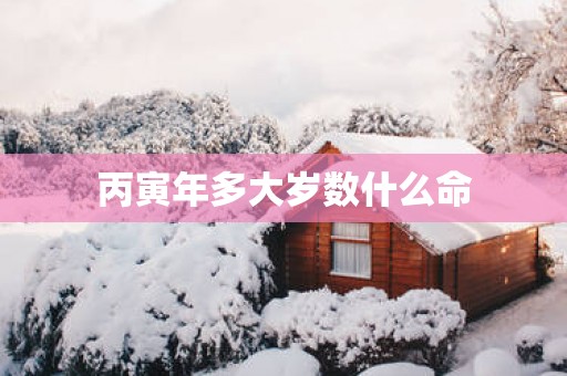 丙寅年多大岁数什么命