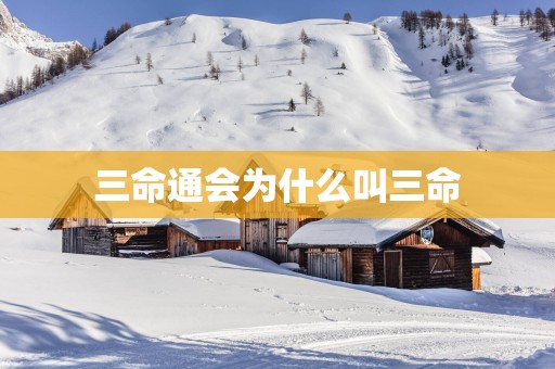 三命通会为什么叫三命