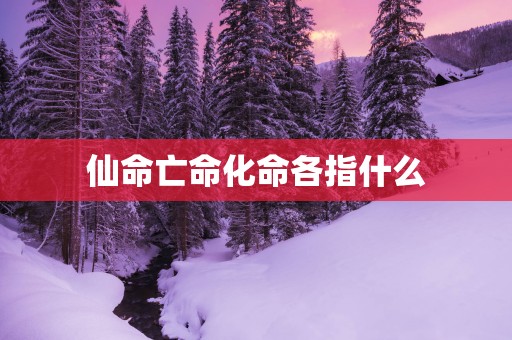 仙命亡命化命各指什么