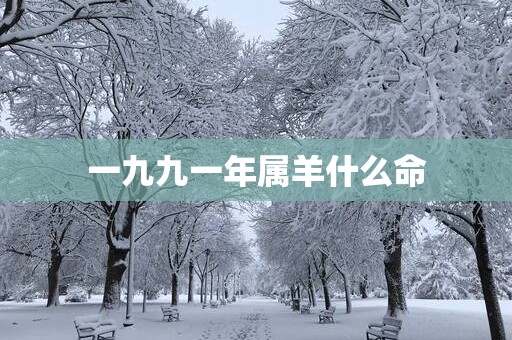 一九九一年属羊什么命