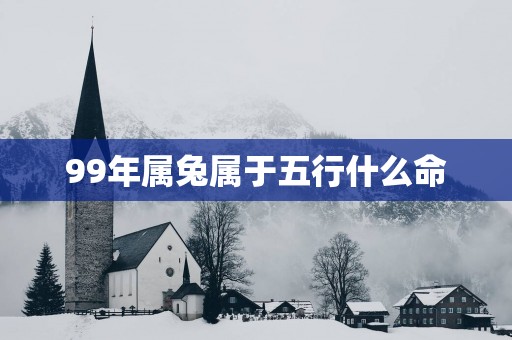99年属兔属于五行什么命