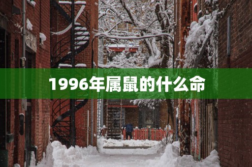 1996年属鼠的什么命