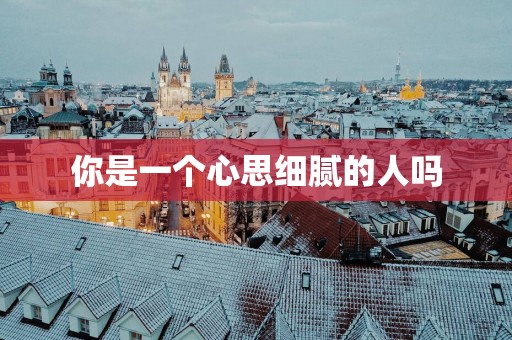 你是一个心思细腻的人吗