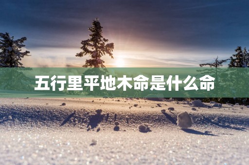 五行里平地木命是什么命