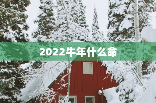2025蛇年什么命