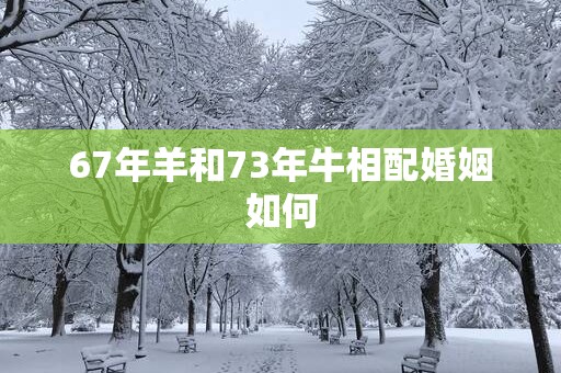 67年羊和73年牛相配婚姻如何