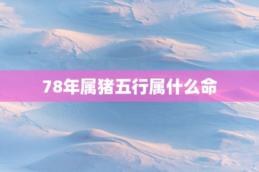 78年属猪五行属什么命