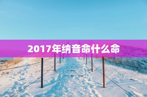 2017年纳音命什么命