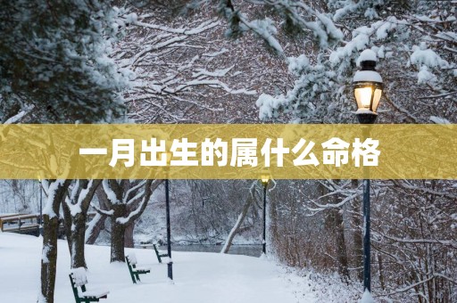 一月出生的属什么命格