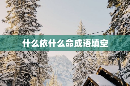 什么依什么命成语填空