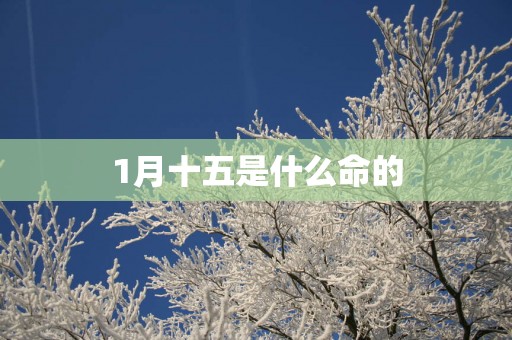 1月十五是什么命的