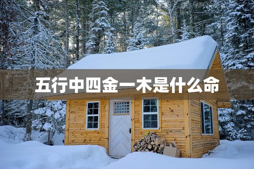 五行中四金一木是什么命