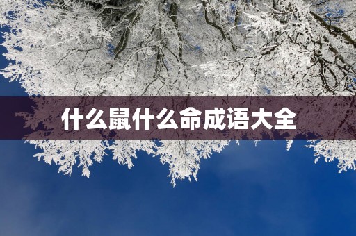 什么鼠什么命成语大全