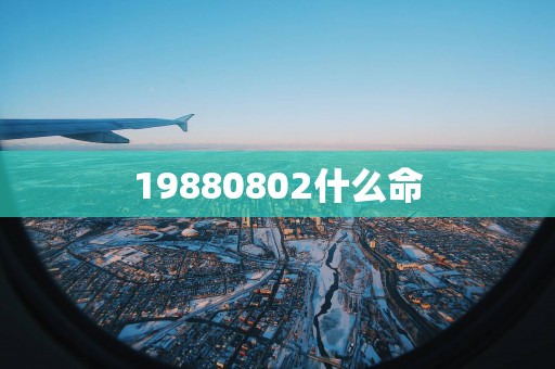 19880802什么命