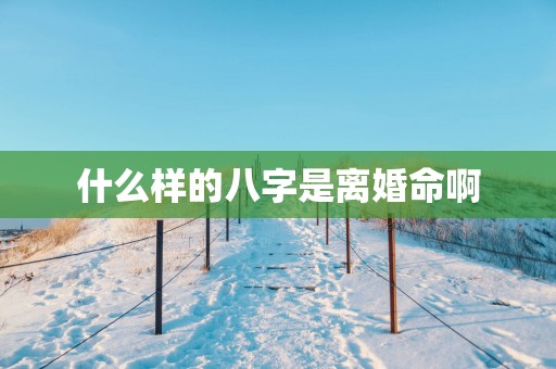 什么样的八字是离婚命啊