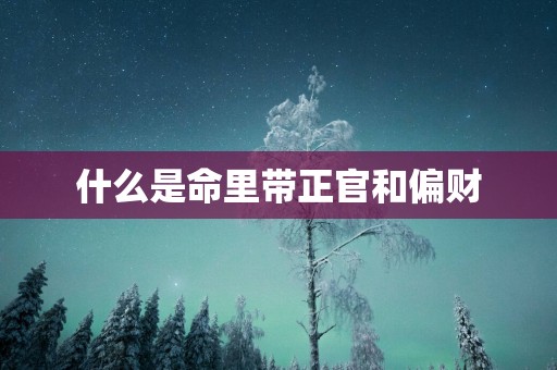 什么是命里带正官和偏财
