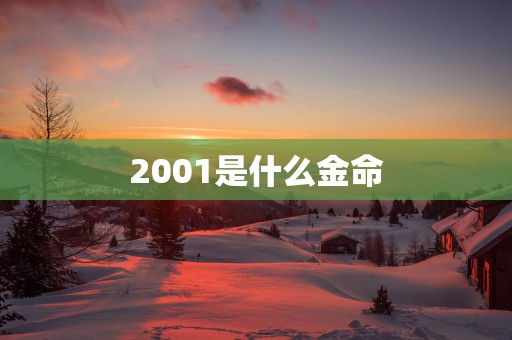 2001是什么金命