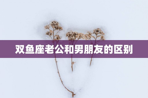 双鱼座老公和男朋友的区别
