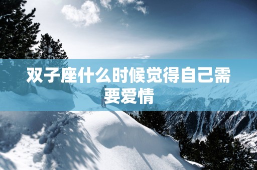 双子座什么时候觉得自己需要爱情