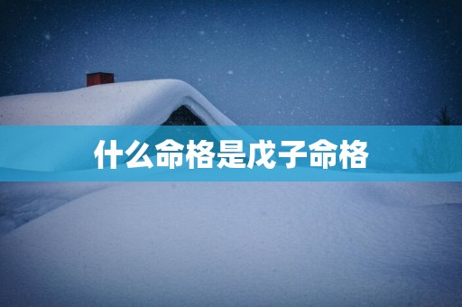 什么命格是戊子命格