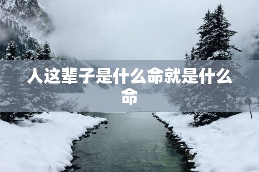 人这辈子是什么命就是什么命