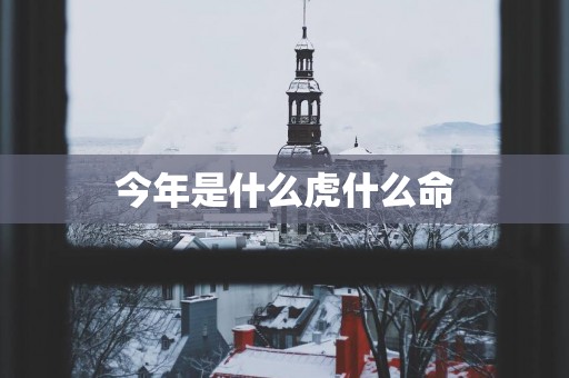 今年是什么虎什么命
