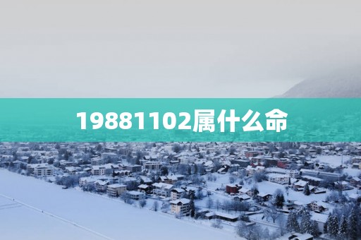 19881102属什么命