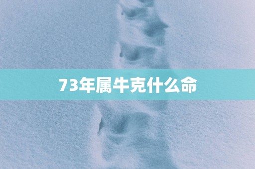73年属牛克什么命