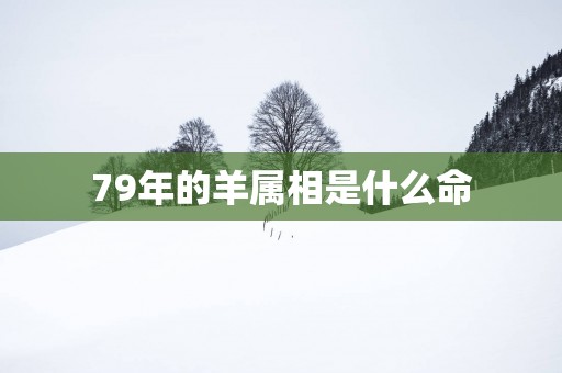 79年的羊属相是什么命