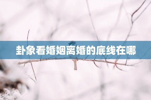 卦象看婚姻离婚的底线在哪