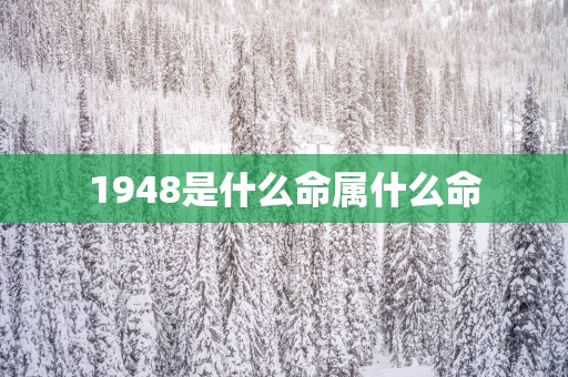 1948是什么命属什么命