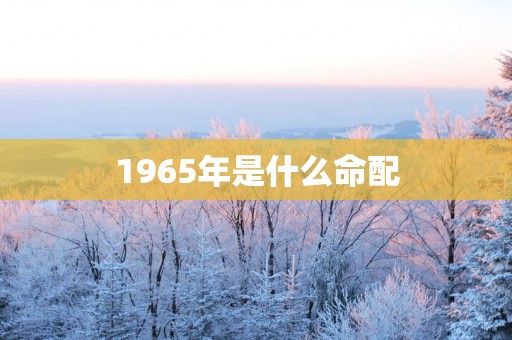 1965年是什么命配