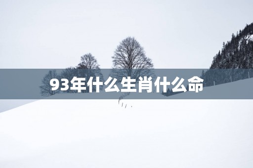 93年什么生肖什么命