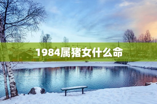 1984属猪女什么命