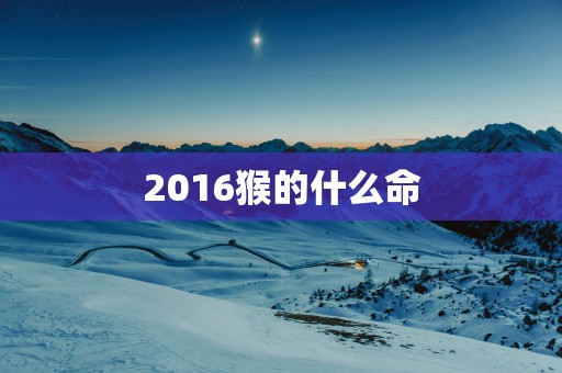 2016猴的什么命 2016猴的什么命