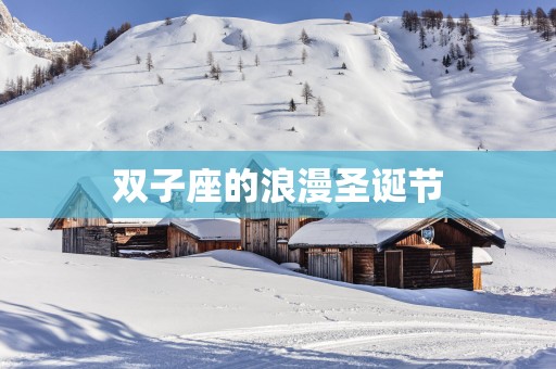 双子座的浪漫圣诞节