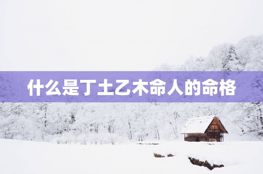 什么是丁土乙木命人的命格