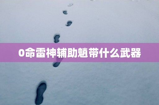 0命雷神辅助魈带什么武器