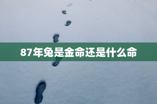 87年兔是金命还是什么命