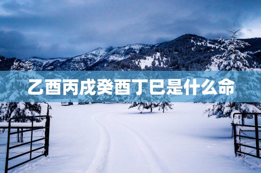 乙酉丙戌癸酉丁巳是什么命