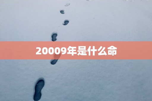20009年是什么命