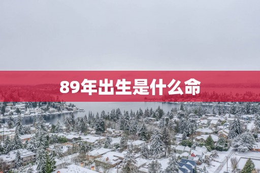 89年出生是什么命