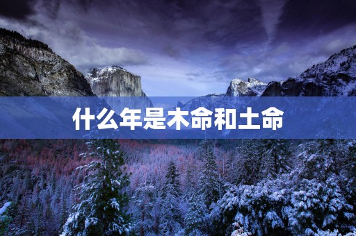 什么年是木命和土命