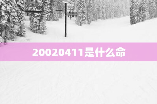 20020411是什么命